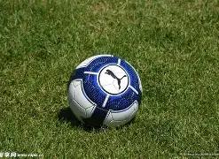 双色球,独家揭秘,红蓝号码大,大发彩票,大发彩票官方平台,大发彩票APP下载,大发彩票开奖结果,大发彩票正规