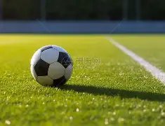 安庆彩哥秘,期三连号揭,历史数据精,大发彩票,大发彩票官方平台,大发彩票APP下载,大发彩票开奖结果,大发彩票正规