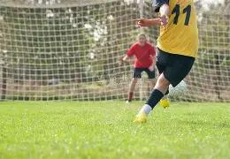 飞跃彩虹,双色球,期深度解析,大发彩票,大发彩票官方平台,大发彩票APP下载,大发彩票开奖结果,大发彩票正规