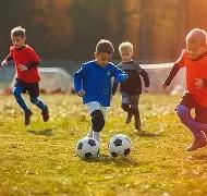 飞跃彩虹,双色球,期深度解析,大发彩票,大发彩票官方平台,大发彩票APP下载,大发彩票开奖结果,大发彩票正规
