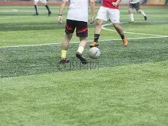 幸运折耳猫,期彩票,精准预测,大发彩票,大发彩票官方平台,大发彩票APP下载,大发彩票开奖结果,大发彩票正规