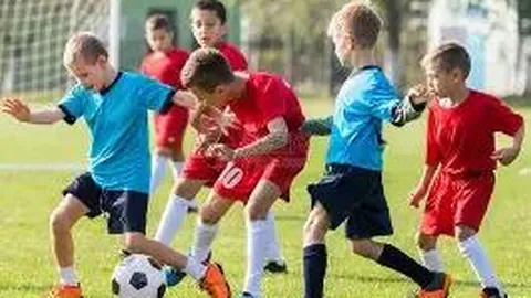 李强主持召开国务院常务会议，审阅大规模设备更新及消费品以旧换新政策执行情况报告