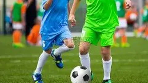 莱特币钱包地址快速生成指南