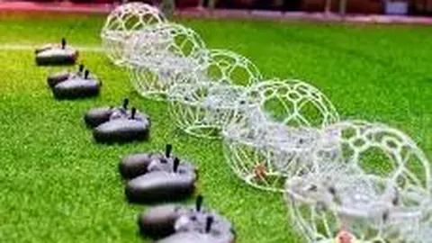 【孔明智选】2025139期双色球精选号码：06，红球必中秘籍大公开！