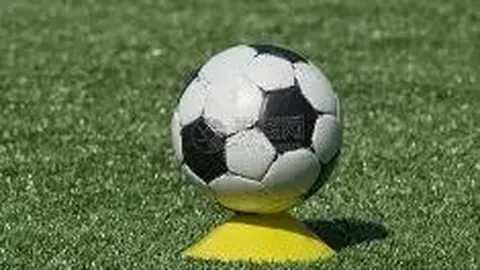 [火线彩探]2026008双色球独家揭秘：必中定兰码来袭——02、07、14，惊喜彩运等你揭晓！