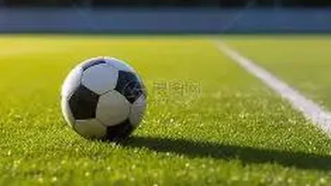 【彩界巨擘】揭秘第26016期大乐透独门胆拖秘籍，前12后3必中秘数，速来锁定热门推荐！