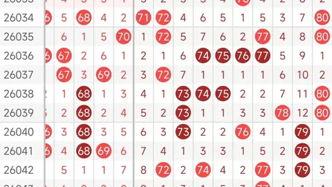 【2026013期大乐透独家揭秘】质数龙头强势回归，凤尾走势预测，不容错过的中奖攻略！