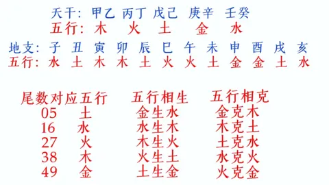 2026078期大乐透专家张晓明质合分析推荐前区十码