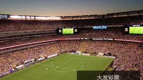 阿根廷队以2比，大发彩票避坑，1逆转巴西，成功晋级决赛！