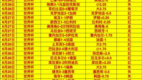 大发彩票 173822
